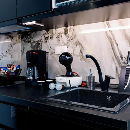 Luxury Downtown Apartment F1